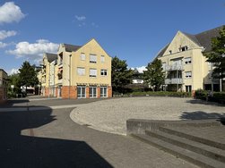 IMG_2709.JPEG