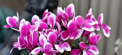 IMG_20240825_194936.jpg