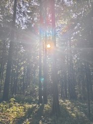 IMG_20240827_173737.jpg