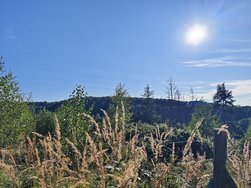 IMG_20240827_174847.jpg