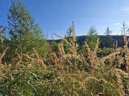 IMG_20240827_180503.jpg