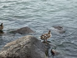 IMG_20240822_201115_1.jpg