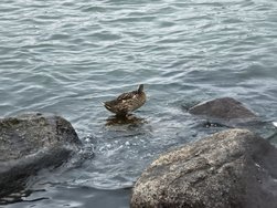 IMG_20240822_201114_3.jpg