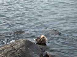 IMG_20240822_201109.jpg