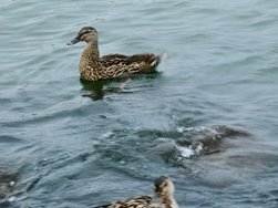 IMG_20240822_201047.jpg