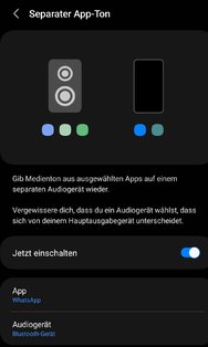 Screenshot_20240829_232607_Separate app sound.jpg