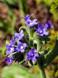 IMG_20240828_161619.jpg