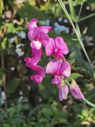 IMG_20240828_161819.jpg