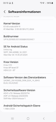 Screenshot_20240831_081300_Settings.jpg