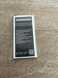 IMG_3254.jpeg