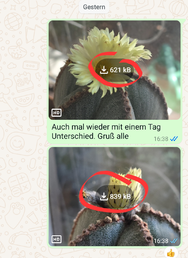 Screenshot_20240831_180352_WhatsApp.png