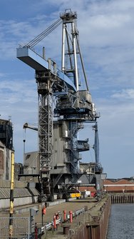 IMG_7846.jpg