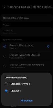 Screenshot_20240901_153522_Samsung text-to-speech engine.jpg