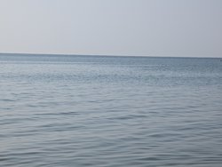 1000060259.jpg