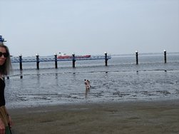 IMG20240813123516.jpg