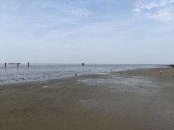 IMG20240813123604.jpg