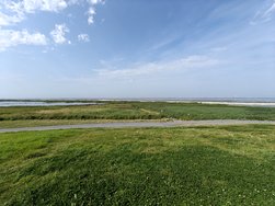 IMG20240813110956.jpg
