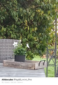 sukashi_20240903_070852.jpg