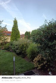 sukashi_20240903_070932.jpg