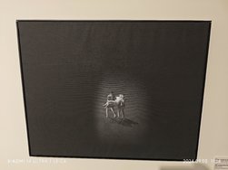 IMG_20240903_111456.jpg