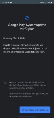 Screenshot_20240903_232305_Google Play Store.jpg