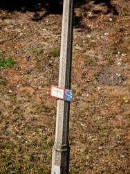 IMG_20240904_114451.jpg