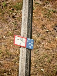 IMG_20240904_114507.jpg