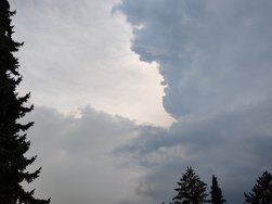 4.9.24,17.40.jpg