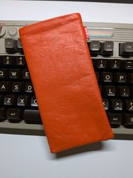 PXL_20240904_172447882.jpg