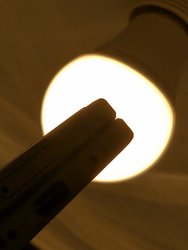 PXL_20240905_191144612.jpg