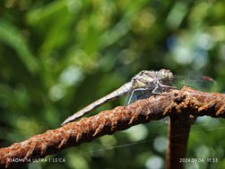 IMG_20240906_113318.jpg
