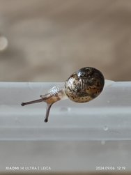 IMG_20240906_121949.jpg