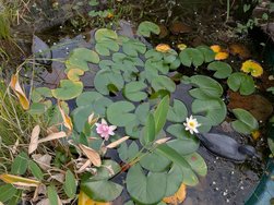 PXL_20240906_163616881.jpg