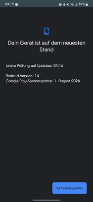 Screenshot_20240907_041951_Google Play Store.jpg