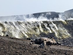 IMG_20240829_103442.jpg