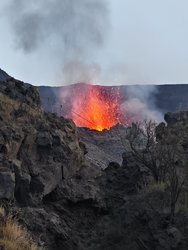 IMG_20240901_194637.jpg