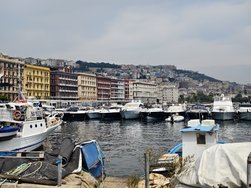 IMG_20240902_134137.jpg