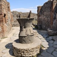IMG_20240903_134444.jpg