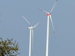 PXL_20240907_121431757.jpg