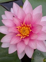 PXL_20240907_143129878.jpg