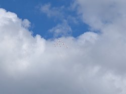 PXL_20240907_135238395.jpg