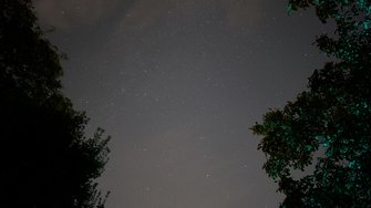1000053671.jpg
