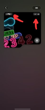 1000045271.jpg