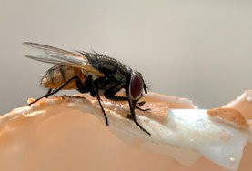 IMG_20240908_093939.jpg