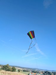 PXL_20240908_074225651.MP~3.jpg