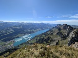 2024-09-07 14.42.06.jpg