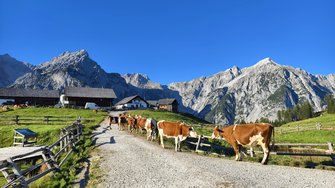 IMG_20240907_184908.jpg