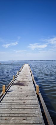 IMG_20240907_141010.jpg