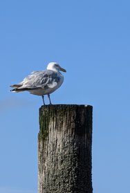 PXL_20240808_082431306~2.jpg