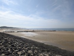 PXL_20240806_090027986.jpg